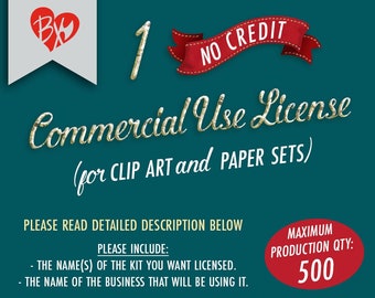1 Commercial Use License