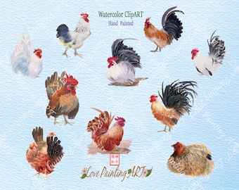 Chicken Watercolor,Chicken Clipart,Chicken,Hen,Hen Clipart,Chicken painting,Hen art,Print Wall Art,Cute Animal,Hand painted,Instant Download
