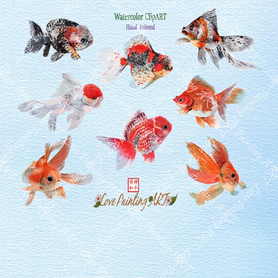 Golden Fishgolden Fish Watercolorgolden Fish Clipartgolden Etsy Golden Fishgolden Fish Watercolorgolden Fish Clipartgolden Etsy