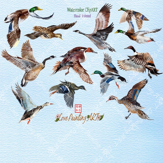 Watercolour Duck Print Cute Hand painted Illustration Printable Digital Download Animal Portrait