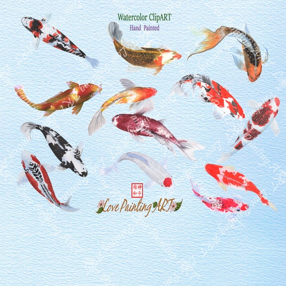 Koi Fisch Koi Karpfen Aquarell Koi Karpfen Clipart Koi Etsy