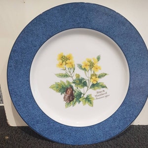 Royal Worcester Salad Plate - Worcester Herbs, senape nera con bordo blu.