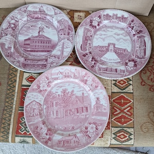Vintage Pink and White  Collectors Display or Dinner Plates  -  United States Theme.  Choose from drop down menu