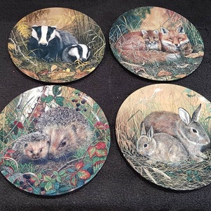 Royal Doulton Limited Edition Collectors Plates by Sue Warner  from the First Steps Together series - 4 Different Available