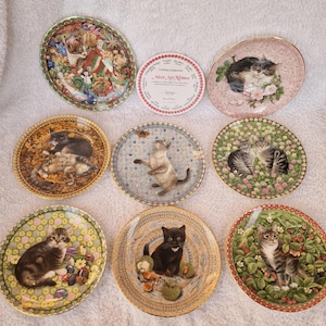 Aynsley Bone China Collector Plate: Lesley Anne Ivory 'meet My
