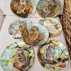 Coalport Bone China Collectors Plates,  from The Wise Owl series, by Michael Sawdy. -  Choose from drop down menu.