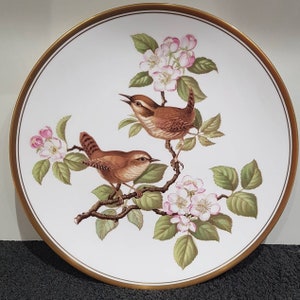Garden Birds by Spode Plates - Etsy