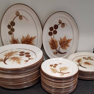 Puede incluir: Un juego de vajilla de cerámica marrón y blanca con un diseño de hojas y bayas. El juego incluye una fuente ovalada grande, una fuente ovalada más pequeña y una pila de platos llanos.