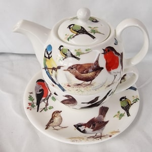 Può includere: Un set da tè singolo in ceramica bianca composto da una teiera con coperchio e una tazza abbinata su un piattino. Il set è decorato con illustrazioni colorate di vari uccelli da giardino, tra cui un pettirosso e una cinciarella, tra foglie.