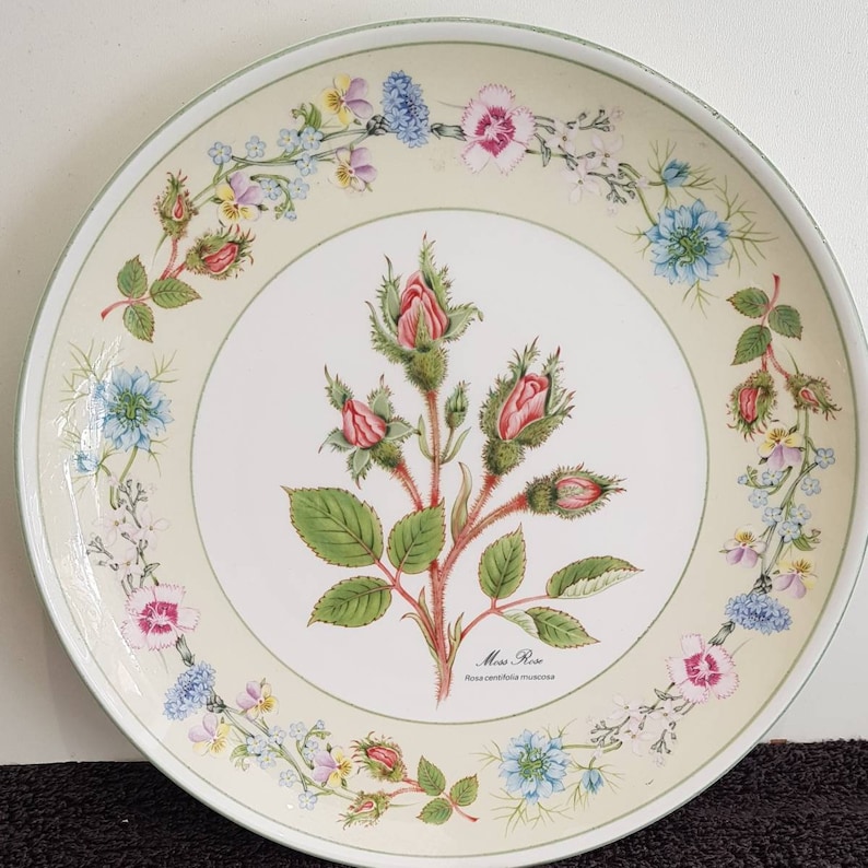 Aynsley Bone China collectors plates Flowers From the Etsy