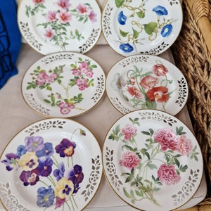 Vintage Ltd Ed Spode Bone China Display Plates from the Botanical Plate Collection 6 Different Available image 1