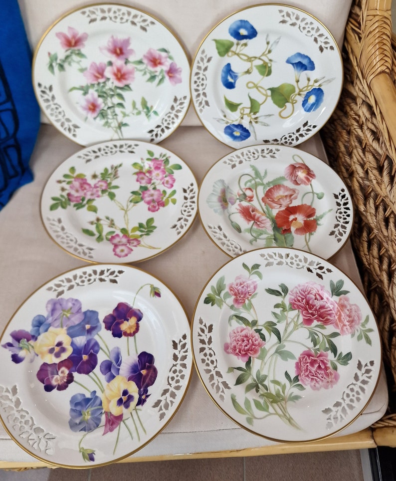 Vintage Ltd Ed Spode Bone China Display Plates from the Botanical Plate Collection 6 Different Available image 1