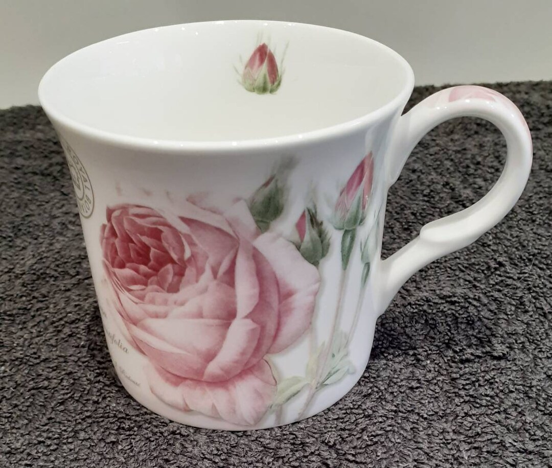 Vintage Royal Botanic Gardens Kew Fine China Mug Rosa Centifolia