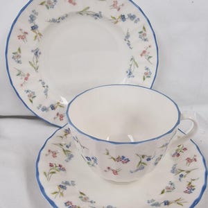 Puede incluir: Un juego de taza de té, platillo y plato blancos con borde festoneado azul. El juego está decorado con pequeños motivos florales azules y rosas. La taza tiene un diseño floral a juego y un asa. El plato tiene aproximadamente 20 cm de diámetro.