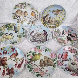 Royal Worcester Bone China Collectors Plates  -  Happy Families Collection  (Baby Birds)  8 Different Available