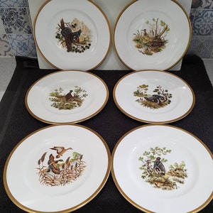 BIRDS of the Fields and Moorland by Crown Staffordshire,  Birds, Collectors Plates, - 6 Different Available