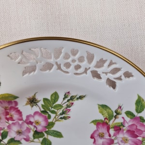 Vintage Ltd Ed Spode Bone China Display Plates from the Botanical Plate Collection 6 Different Available image 8