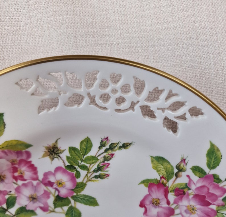 Vintage Ltd Ed Spode Bone China Display Plates from the Botanical Plate Collection 6 Different Available image 8