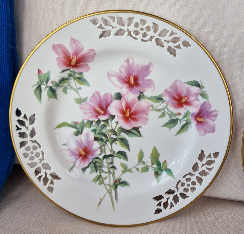 Vintage Ltd Ed Spode Bone China Display Plates from the Botanical Plate Collection 6 Different Available Hibiscus