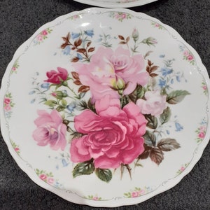 Royal Albert Collectors Plates - the Rose Garden Collection - Different ...