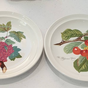 Portmeirion Pottery Pomona  -  Selection of Dinner  plates -   Choose  from drop down menu.