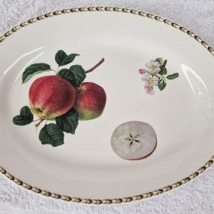 Queens Bone China Oval Fleischplatte - RHS Hookers Fruit