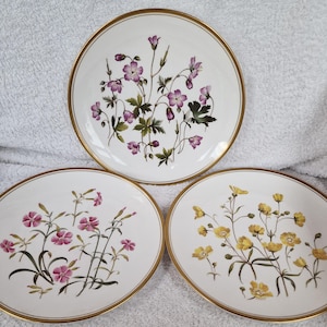 Plato de porcelana china Spode para coleccionistas o exhibición de la colección Wild Flowers, 3 diferentes disponibles