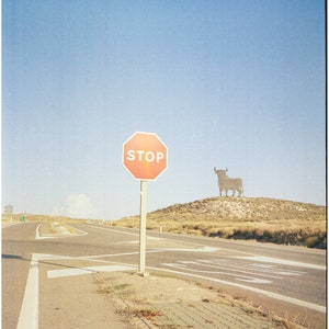 traffic sign on empty landscape in spain with bull analogue photography ready to print