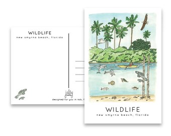 May include: A postcard with a watercolor illustration of a beach scene with palm trees, a kayaker, and sea turtles. The text "WILDLIFE new smyrna beach, florida" is printed on the postcard.