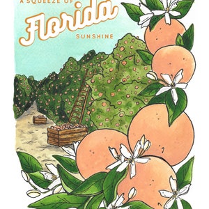 Watercolor Illustration Art Print A Squeeze of Florida Sunshine Florida Citrus Jelly Press