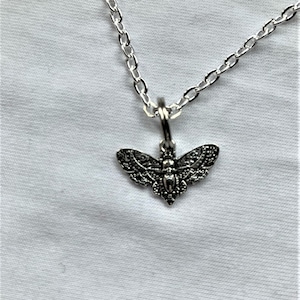 May include: A silver chain necklace with a detailed silver moth pendant.