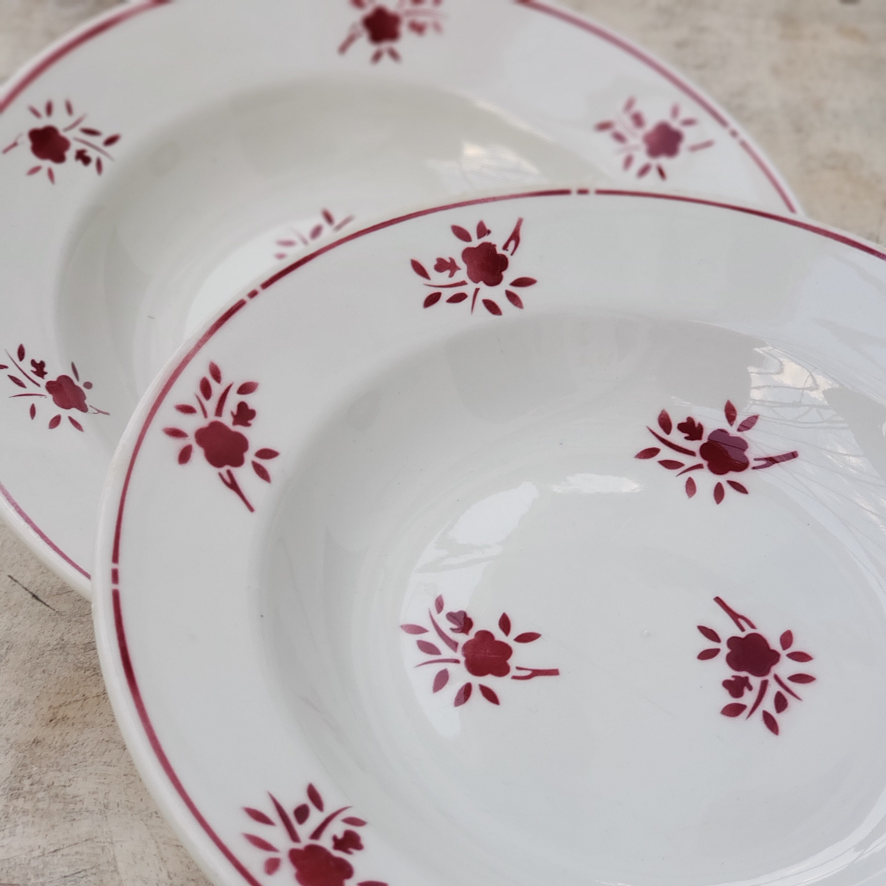 Assiettes Creuses en Céramique Diamètre 22, 5 cm Fleurs Bordeaux Fond Blanc, Modèle Moulin Richard R