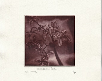 Estampe originale, mezzotint à partir d'une gravure sur cuivre:- oeuvre signée et numérotée- "Eveil de la nature"
