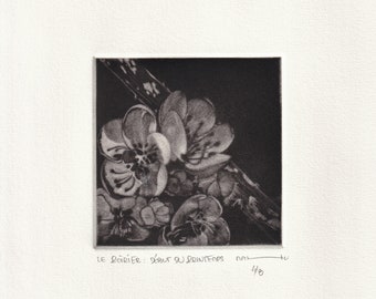 Estampe originale, mezzotint à partir d'une gravure sur cuivre: "Poirier  début du printemps". - 2023-