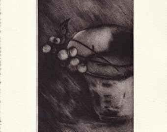 Original print, mezzotint from a copper engraving: "Mistletoe berries". - 2024-