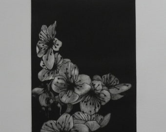 Original print, mezzotint from a copper engraving: "Prunus Japonica series, plate III black and white". - 2024-