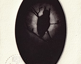 Estampe originale, mezzotint à partir d'une gravure sur cuivre:- oeuvre signée et numérotée- "Hululer dans la nuit"