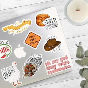 Vine Sticker Bundel | 8 Stickers | Vine Humor | Het Pakket van de Sticker van de wijnstok