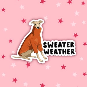 Meteo maglione / Adesivo per cani divertente / Adesivo meme