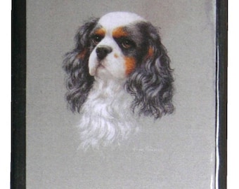 Boîte ornée du "Cavalier King Charles" de MEZ-deMEZERAC