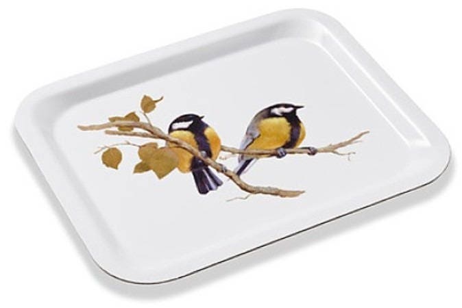 Plateau Blanc Aux Mésanges Charbonnières Du Peintre Mez-Demezerac