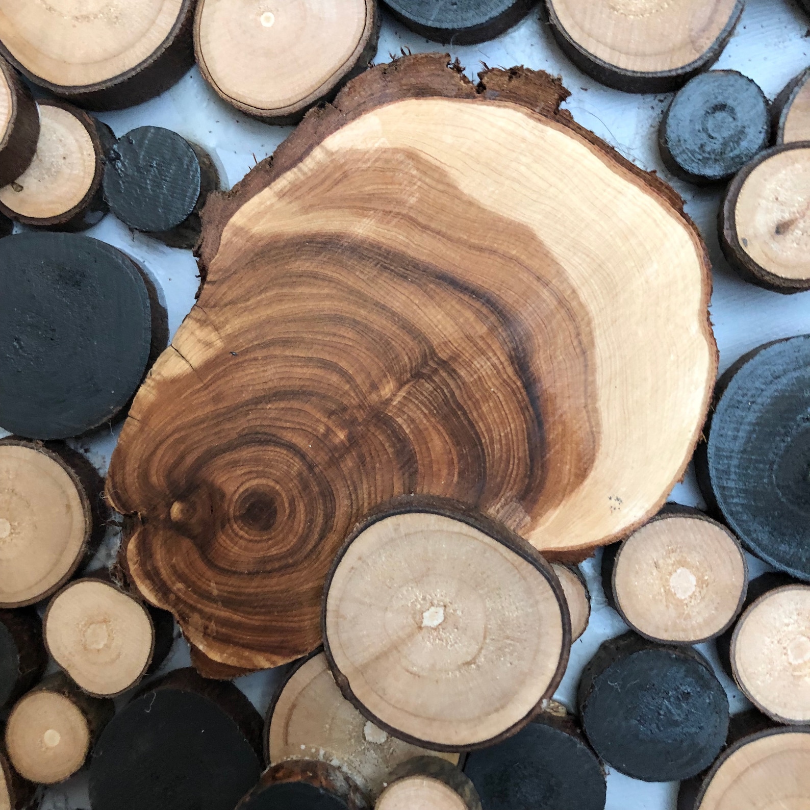 Wood Slice Wall Art Tree Slice Wall Art Abstract Wood Art Etsy