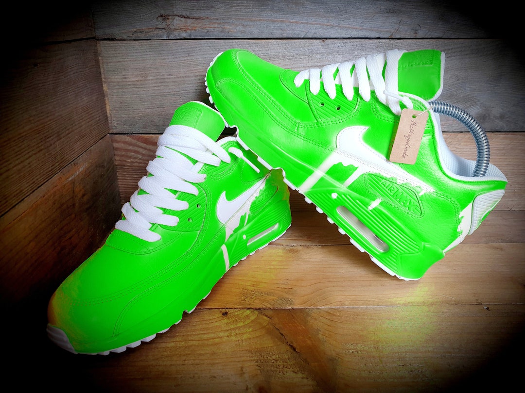 Custom Painted Air Max 90/sneakers/shoes/kicks/premium