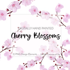 Kirschblüte ClipArt, Kirschblüten Clipart, Sakura Blüte ClipArt, rosa Aquarell Blume ClipArt