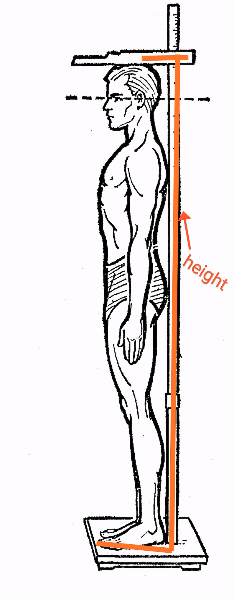 Deacon's / Protodeacon's orarion - Orthodox orarion - Greek Orarion - Russian Orarion - Stole image 8