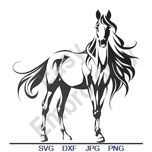Cheval étalon - Svg, Dxf, Eps, Png, Jpg, Art vectoriel, Clipart, fichier de coupe