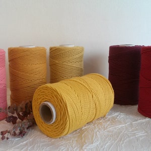 Può includere: Sei bobine di corda di cotone in vari colori, tra cui rosa, giallo e rosso. Le bobine sono disposte in fila su una superficie bianca.
