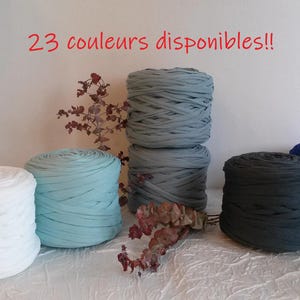 Può includere: Una collezione di gomitoli di filato di tessuto colorato in bianco, azzurro, grigio, grigio scuro e blu. L'immagine include il testo rosso "23 couleurs disponibles!!", che indica una varietà di opzioni di colore.