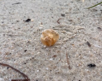 Jingle Shell Adjustable Ring