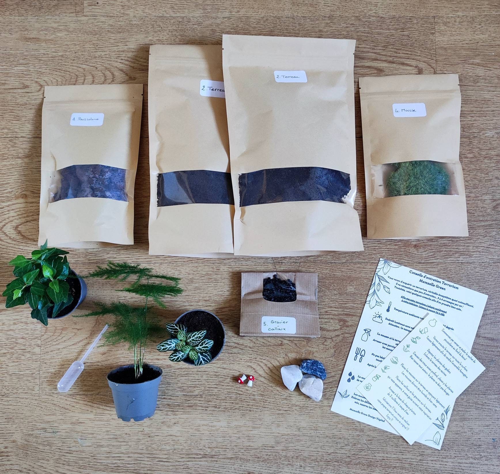 Kit Terrarium Diy ou Kit de Rempotage Format M